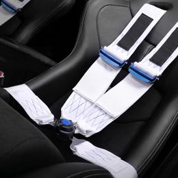 Harnesses