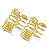 Apex Lowering Springs to fit Vauxhall Zafira A all excl. 2.2i auto, 2.0DTi (T98 monocab) (from Jan 1999 to 2005)