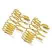 Lowering Springs Volkswagen Golf VII 2WD, twist/rigid beam rear axle only (AU) (from 2013 to 2020)
