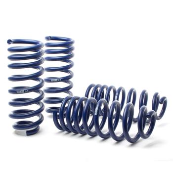 Lowering Springs