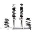 Twintube Stainless Coilover Kit Volkswagen CC B7 (358)