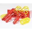 Special Active Suspension Kit (Apex springs) Volkswagen Transporter T5 inc. 4Motion (excl T32)