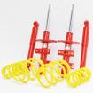 Special Active Suspension Kit (Apex springs) Volkswagen Transporter T5 inc. 4Motion (excl T32)