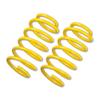 ST Front Lowering Springs to fit Peugeot 206 CC (2D) (from 2000 to 2008)