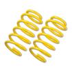 Front Lowering Springs Peugeot 206 Hatchback (2A/C) (from 1998 to 2012)
