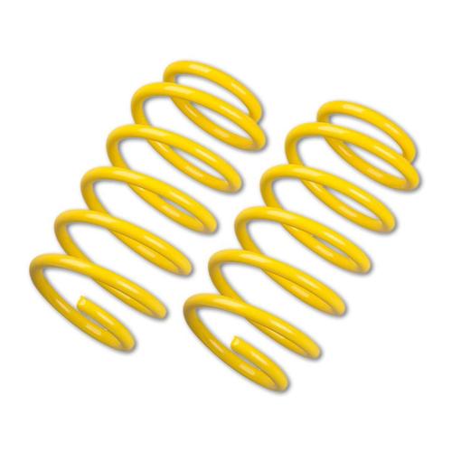 Front Lowering Springs BMW 5 (E39) (from 1995 to 2003)