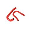 Samco Breather Hose Kit Ford Escort Mk3 RS1600i