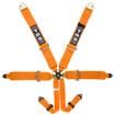 TRS Westfield Magnum 6 Point FIA Harness