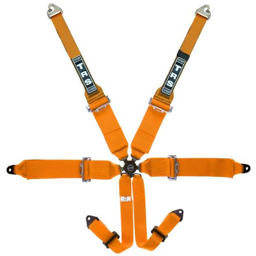 TRS Westfield Magnum 6 Point FIA Harness (HANS Only)