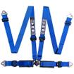 TRS 4 Point Track Day Harness