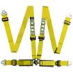 TRS 4 Point Track Day Harness