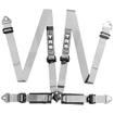 TRS 4 Point Track Day Harness