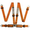 TRS 4 Point Track Day Harness
