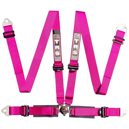 TRS 4 Point Track Day Harness