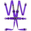 TRS Pro 6 Point FIA HANS Harness