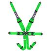TRS Caterham Pro 6 Point FIA Harness (HANS Only)