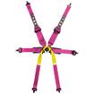 TRS Pro Single Seater 6 Point Harness (HANS Only)