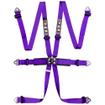 TRS International 6 Point FIA HANS Harness