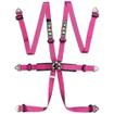 TRS Pro International 6 Point Harness (HANS only)
