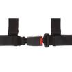 TRS Clubman 4 Point Harness (75mm Shoulder)