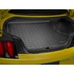 Cargo Liner All Weather Boot Liner Ford Mustang (6th Generation)