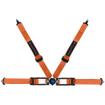 Willans Caterham 4 Point Track Day Harness