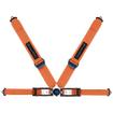 Willans Caterham 4 Point FIA/Road Harness