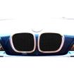 Top Grille Set BMW Z3 (from 1996 to 2002)