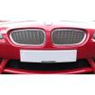 Top Grille Set BMW Z4 (from 2003 to 2006)