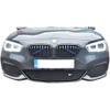 Zunsport Full Grille Set to fit BMW M140i (from 2016 onwards)