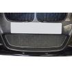 Lower Grille BMW M135i (from 2012 to 2015)