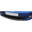Lower Grille Ford Fiesta ST (from 2006 to 2008)