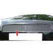 Top Grille Fiat Grande Punto (Body Kit) (from 2006 to 2009)