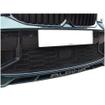 Centre Grille BMW Alpina B3 Biturbo