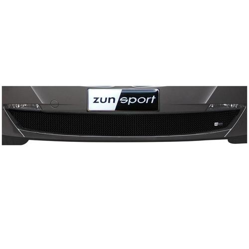 Lower Grille BMW Z4