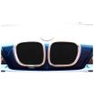 Top Grille Set BMW Z3