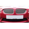 Zunsport Top Grille Set BMW Z4