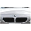 Top Grille Set BMW Z4