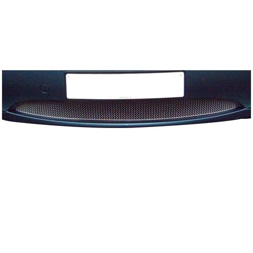 Lower Grille BMW Z4