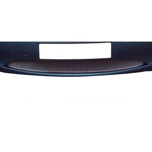 Lower Grille BMW Z4