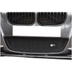 Lower Grille BMW M135i