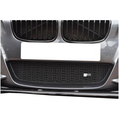 Lower Grille BMW M135i