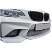 Full Grille Set BMW M2 Gen 1 (F87)