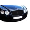Lower Grille 3 Piece Set Bentley Continental