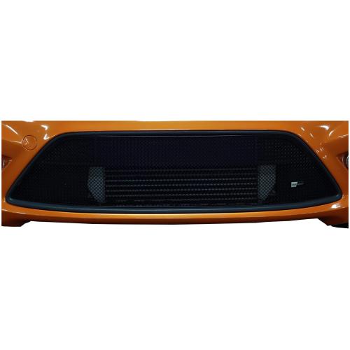Full Lower Grille Ford Focus ST