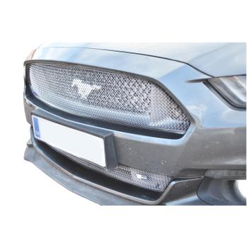 Lower Grille