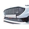 Zunsport Lower Grille Ford Puma ST
