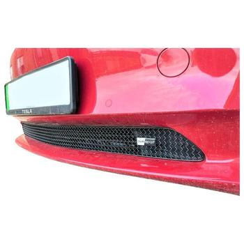 Lower Grille