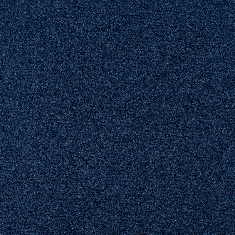 Navy Blue carpet