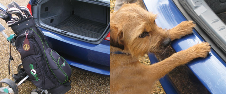 Rearguards - Golf bag and dog in boot